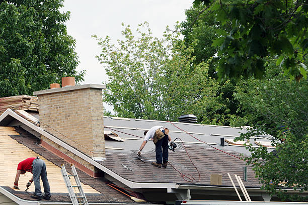 Best Roof Gutter Cleaning  in Mansfield, PA
